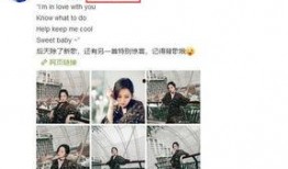 爆料娱乐圈音乐是什么意思,揭秘幕后故事与热点事件