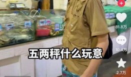 辛吉飞爆料生鲜视频,揭秘视频背后的真相